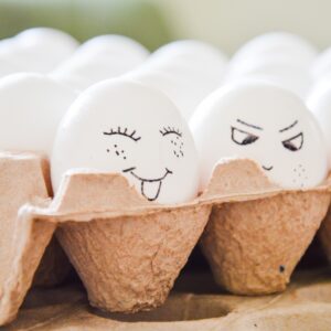 Free Range Eggs 12-Pack